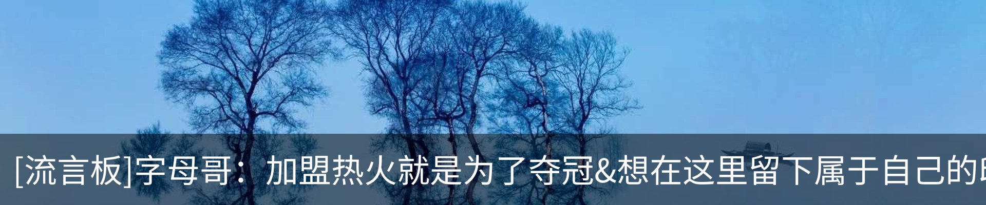 内页banner